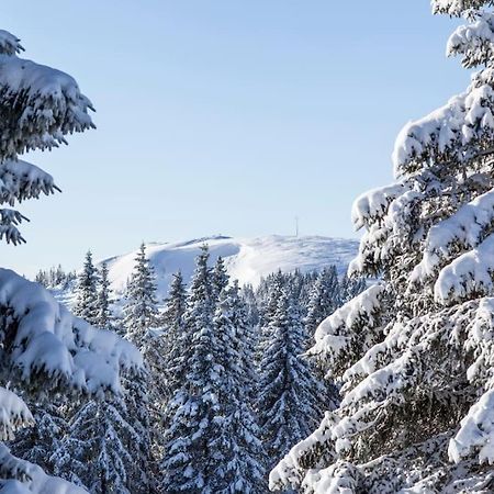 Waldtwin 2 Titisee Eksteriør billede