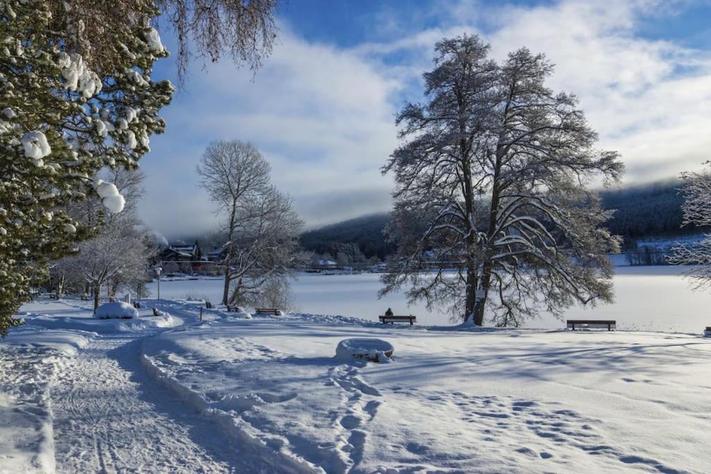 Waldtwin 2 Titisee Eksteriør billede
