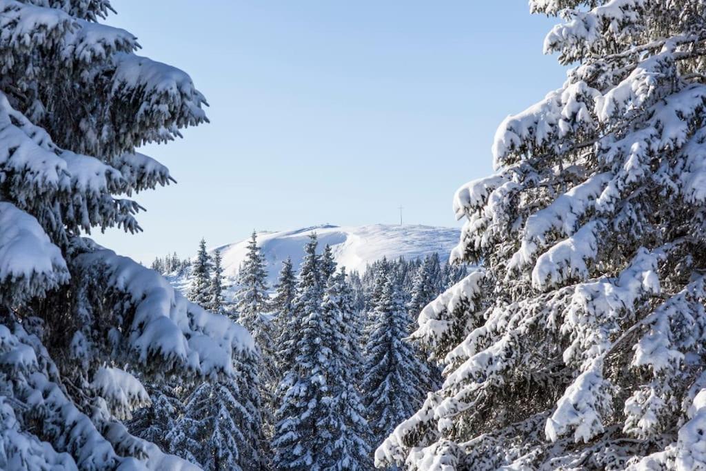 Waldtwin 2 Titisee Eksteriør billede