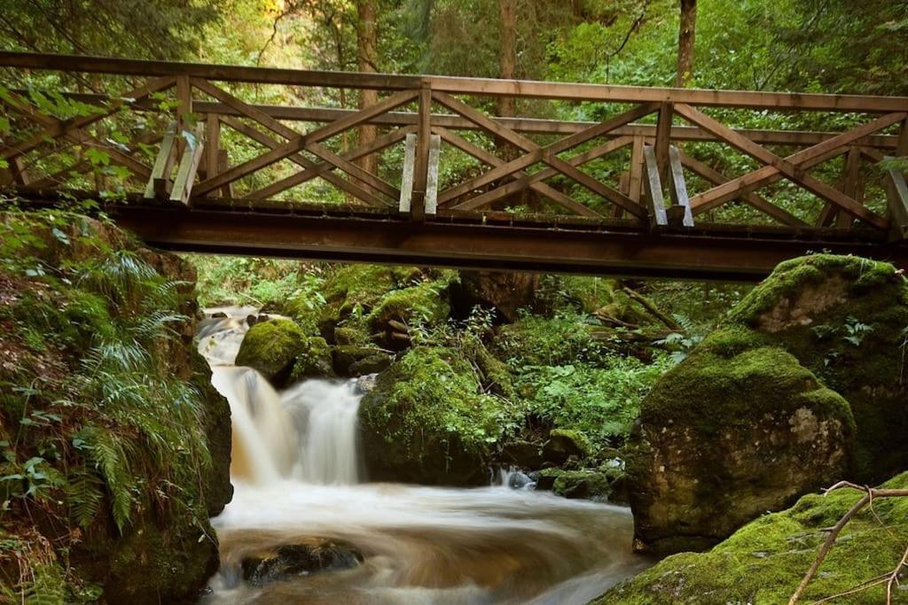 Waldtwin 2 Titisee Eksteriør billede